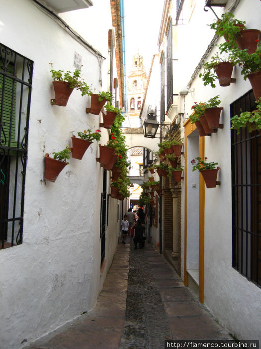Андалусия - это тонкий вкус, мудрость,традиции . Андалусия, Испания