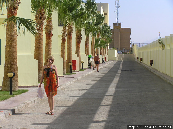 Хургада. Май.Отель Palm beach Хургада, Египет