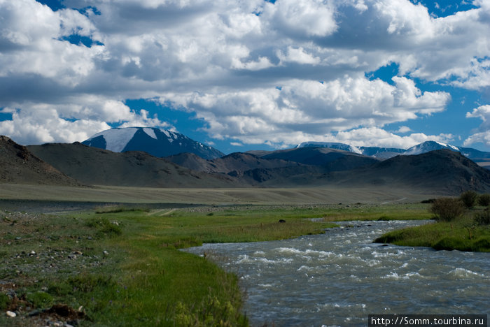 Маленькая речушка, несущая свои воды к озерам... Баян-Улэгэйский аймак, Монголия