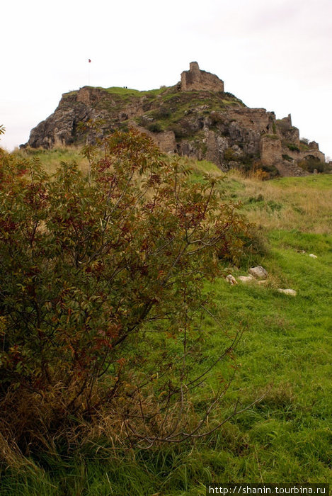 Часть территории крепости заросла кустами Амасья, Турция