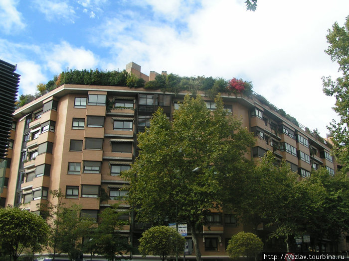 Зелень и снизу, и сверху Мадрид, Испания
