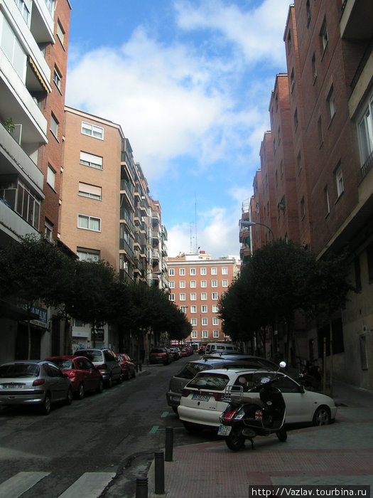 Местная жизнь Мадрид, Испания