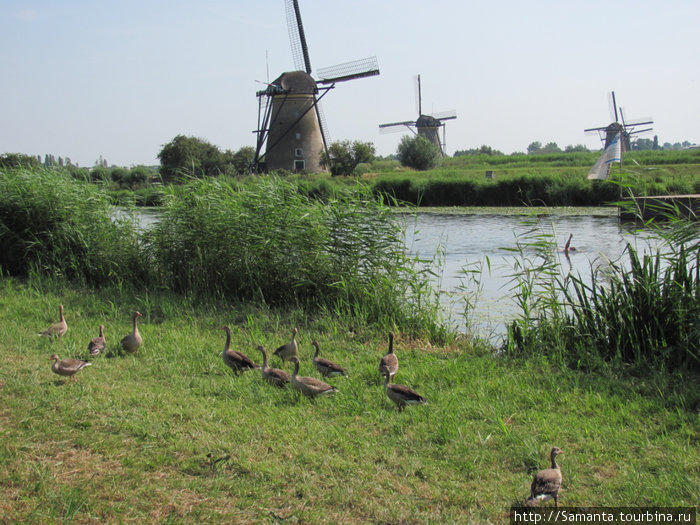 Киндердийк - музей ветряных мельниц Киндердейк, Нидерланды
