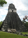 Храм Ягуара — основное религиозное сооружение Тикаля