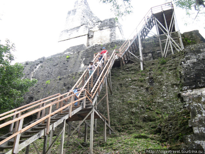 Деревянные лестницы на Храм Женщины (то ли жены одного из правителей, то ли его матери) Тикаль Национальный Парк, Гватемала