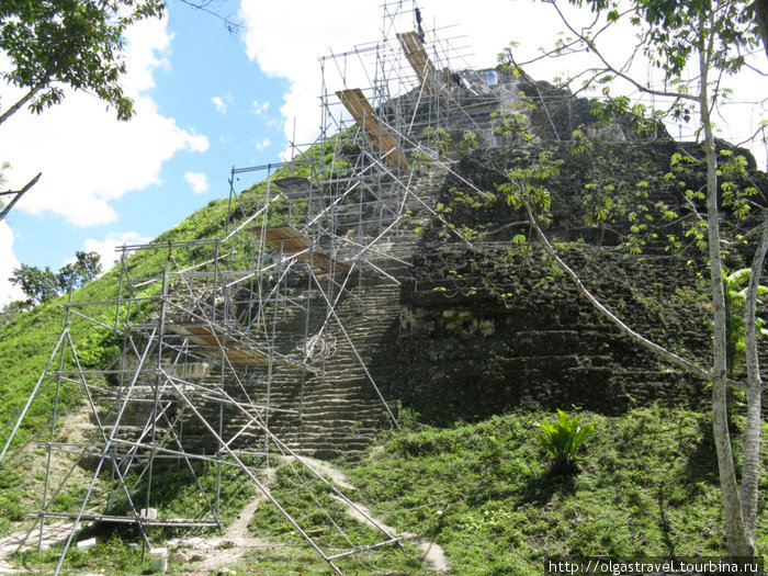 Осторожно! Ведутся раскопки! Тикаль Национальный Парк, Гватемала