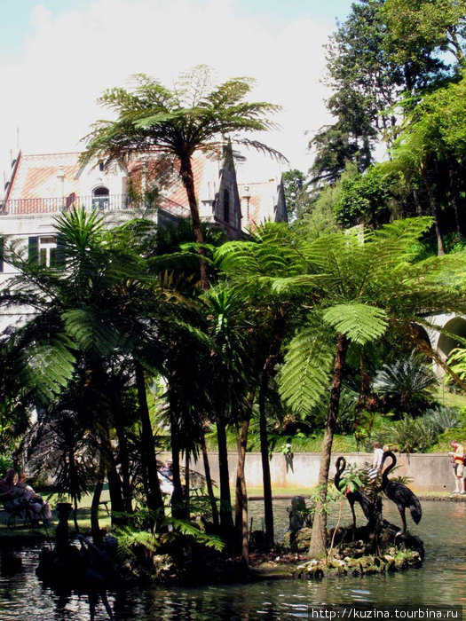 Тропический сад и дворец Монте на Мадейре Фуншал, Португалия