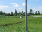 рисовые поля и могилы
