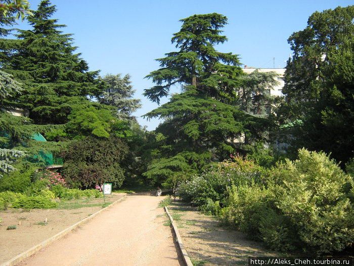 Никитский Ботанический сад, Крым