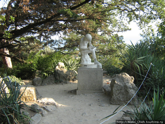 Никитский Ботанический сад, Крым