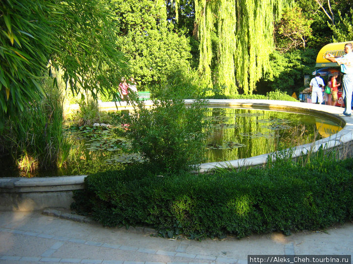 Никитский Ботанический сад, Крым Никита, Россия