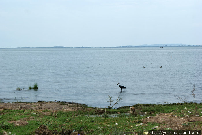 на озере Энтеббе, Уганда