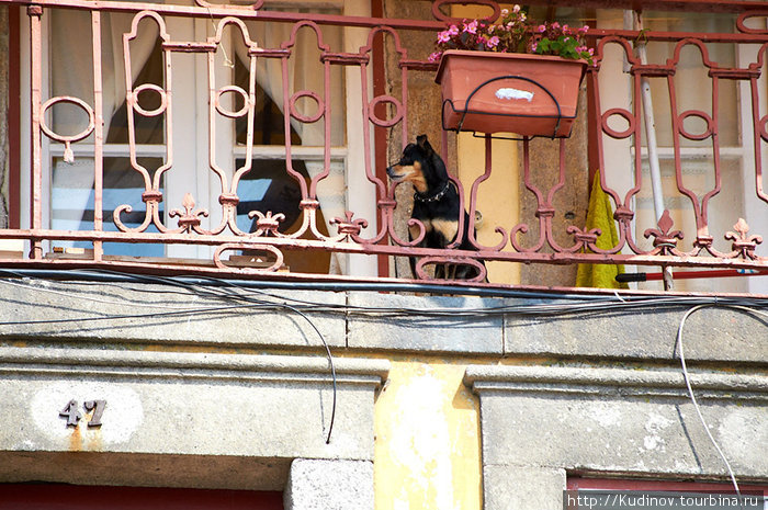 Порту. Сентябрь 2010 года. Порту, Португалия