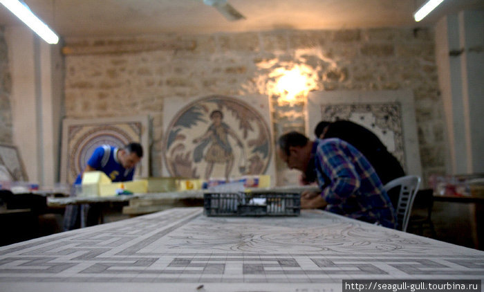 Время собирать пазлы: мозаики святого Герасима Иерихон, Палестина