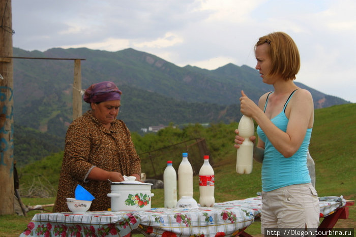 Продажа кумыса(лошадиное кислое молоко) в горах Узбекистан