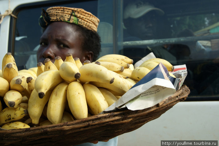 предлагают бананы Кисуму, Кения