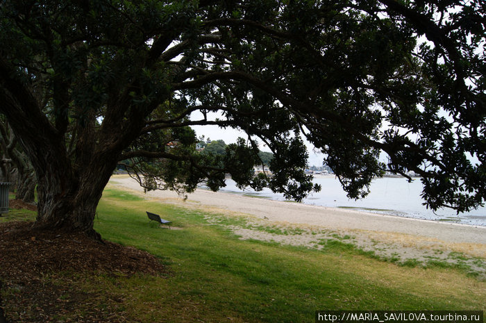 вот что мне понравилось — скамейки в самых неожиданных местах-сиди себе- расслабляйся Окленд, Новая Зеландия