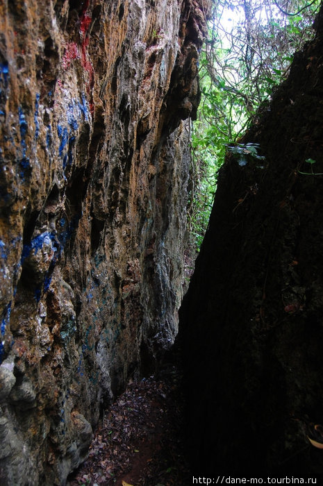 Эта расщелина уходит в никуда — просто переходит в крутой лесной склон Остров Вавау, Тонга