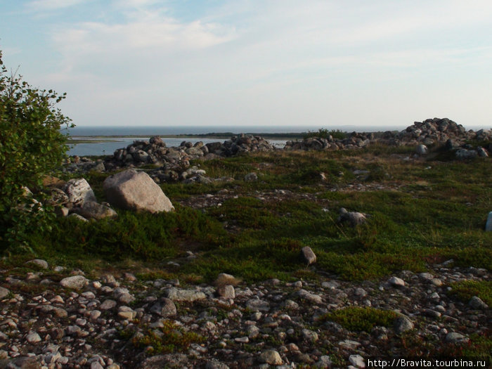 Большой Заяцкий остров весь усыпан камнями. Под ними были обнаружены древние захоронения. Соловецкие острова, Россия