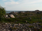 Большой Заяцкий остров весь усыпан камнями. Под ними были обнаружены древние захоронения.