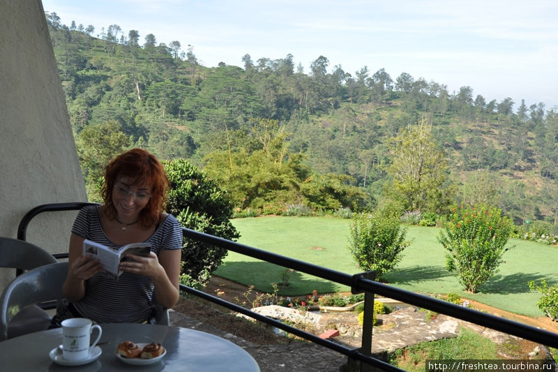 Утренний чай на террасе  — и уже чувствуешь себя баловнем судьбы... отпуск в колониальной Англии! Канди, Шри-Ланка
