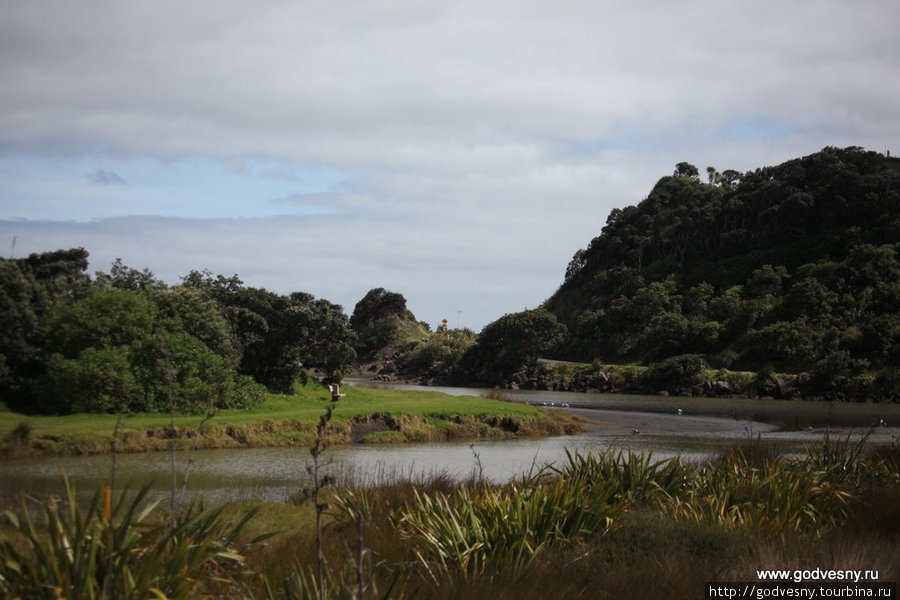 Новая Зеландия: часть 1 Новая Зеландия