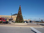Рождественская елка, хотя ешще только 28 ноября.
