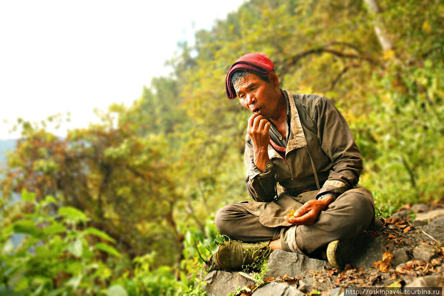 трек по Лангтангу Дунче, Непал
