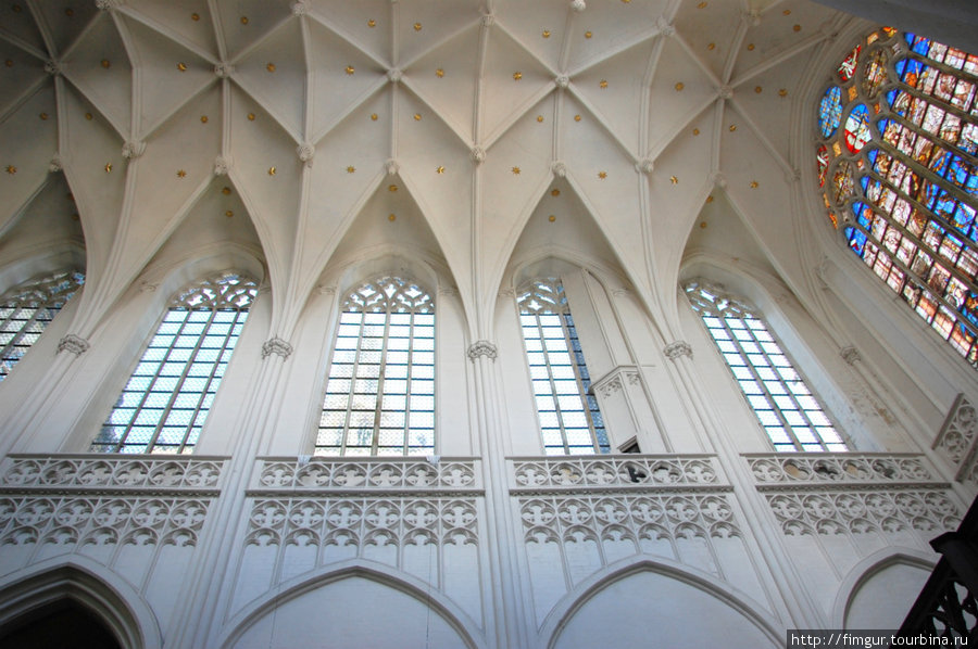 Интерьер потолочной части собора Антверпен, Бельгия