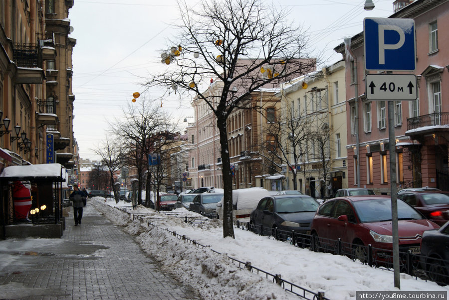 на улице Маяковского Санкт-Петербург, Россия