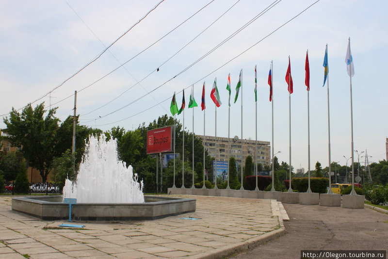 С флагами восьмёрки ШОС Ташкент, Узбекистан