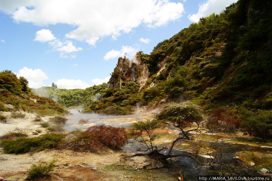 Wai-O-Tapu & Waimangu