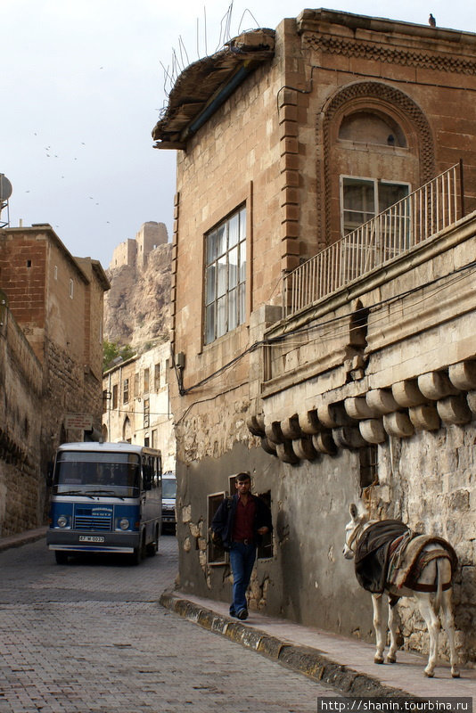 И ослы и автобусы на одной узкой улочке в Мардине Мардин, Турция