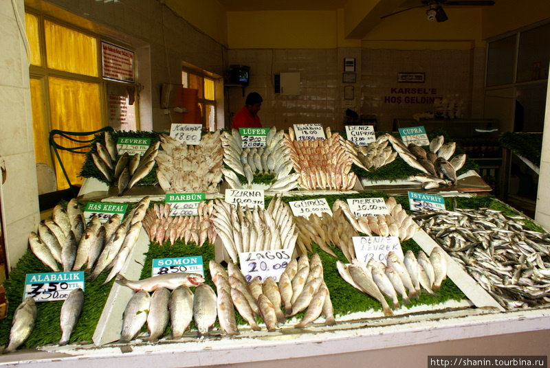 В рыбном магазине в Невшехире свежая рыба всегда есть, хотя до моря очень далеко, в любоим направлении Невшехир, Турция