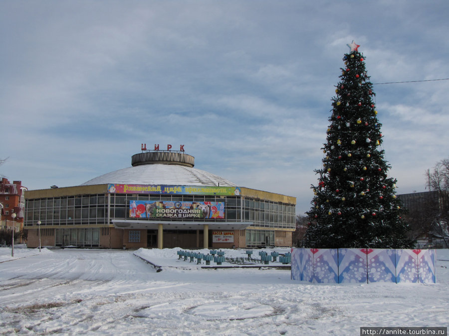 Цирк. Рязань, Россия