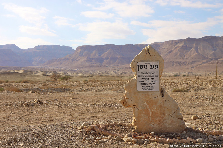 Мемориальная доска в пустыне на побережье Мертвого моря. На редкость креативная, на мой взгляд. Сделана из куска так распространенного здесь желтого известняка. Израиль