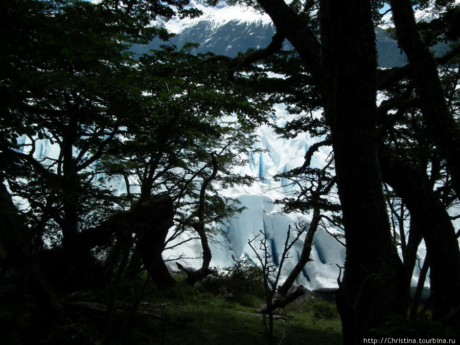 Биг Айс в Патагонии. Лос-Гласьярес Национальный парк, Аргентина