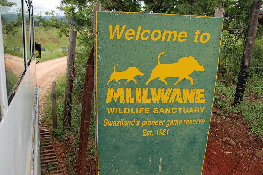 Каникулы в Свазиленде (ч. 2 — две ночи в Млилване) Млилване Санктуарий Дикой Природы, Свазиленд