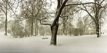 Сквер возле Кафедрального собора Турку, снежная панорама