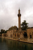 Мечеть на берегу пруда