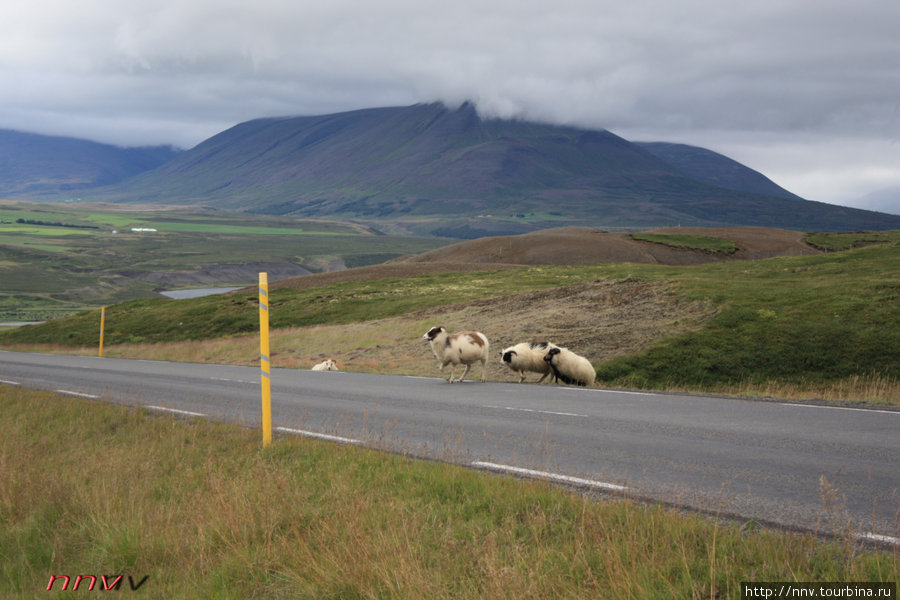 Против часовой стрелки по Исландии (часть 2). Исландия