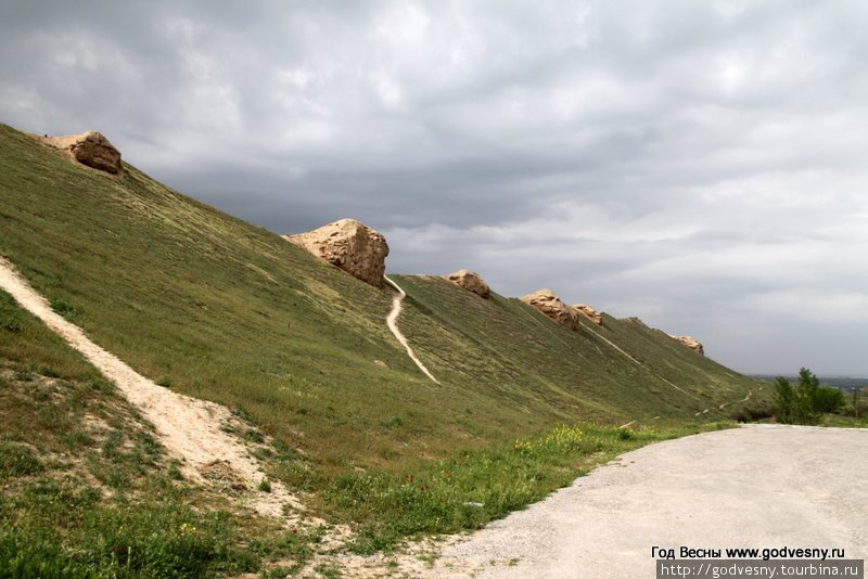 Ниса Багир, Туркмения