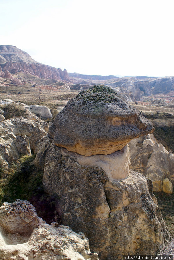 Гриб с шляпкой Каппадокия - Гереме Национальный Парк, Турция