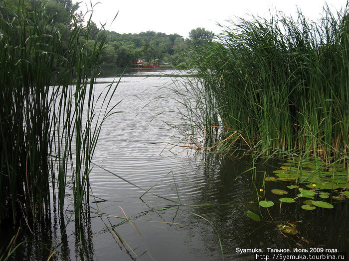 Тальянка запружена. Образовалось живописное озеро. На другом берегу — зона отдыха. Тальное, Украина