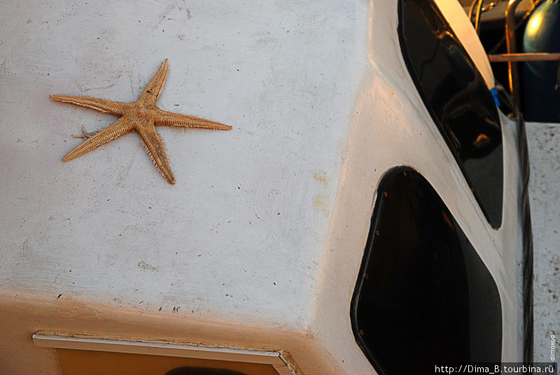 Рыбак случайно выловил сетями морскую звезду и засушил ее на крыше своей лодки в виде сувенира. Пула, Хорватия