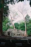 Та Пром (букв. ’предок Брахмы’) — один из самых эффектных храмовых комплексов Ангкора (в XII в. в нем было более 900 сооружений!). Освящен императором Джайяварманом VII в честь его матери.