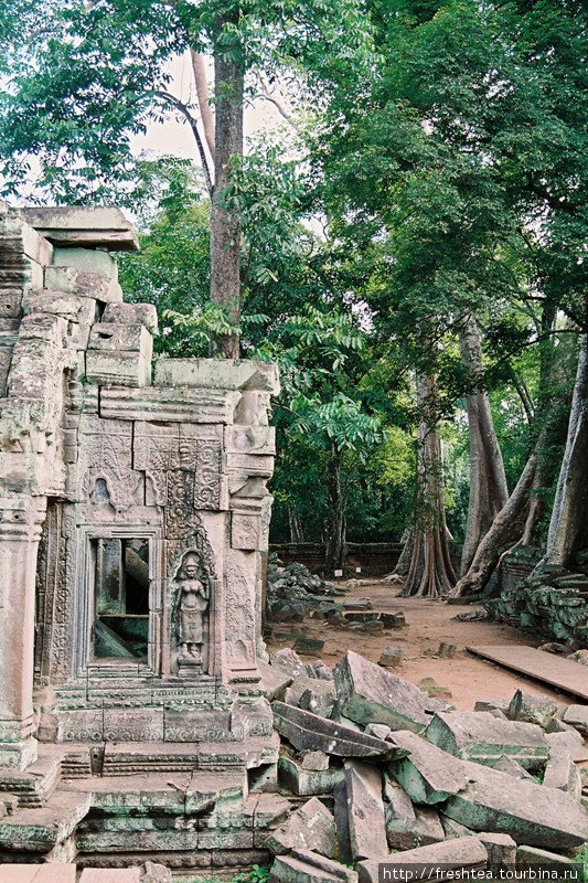 Даже осколки каменных плит и блоков в Та Проме выразительны! В сравнении с ними современные инсталляции часто кажутся нарочитыми и неоригинальными... Ангкор (столица государства кхмеров), Камбоджа