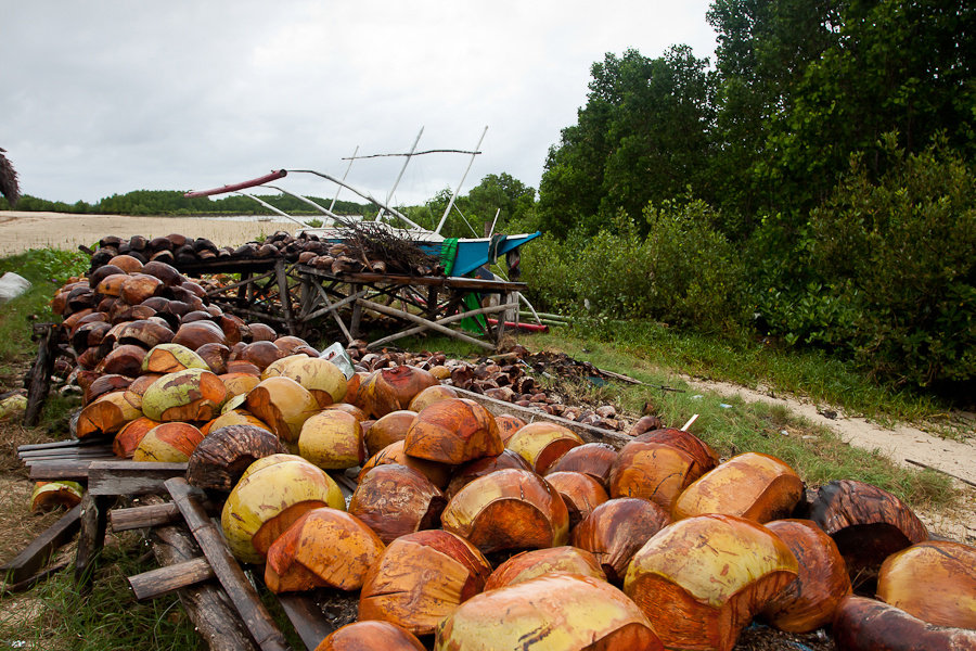 Отработанные кокосы. Их подсушивают и потом используют как дрова Пуэрто-Принсеса, остров Палаван, Филиппины