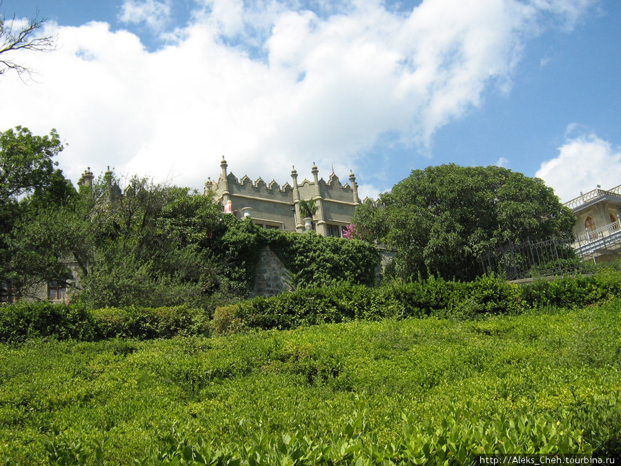 Алупкинские впечатления Алупка, Россия