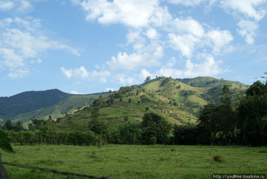 у подножия гор Рвензори Маунтинс Национальный Парк, Уганда